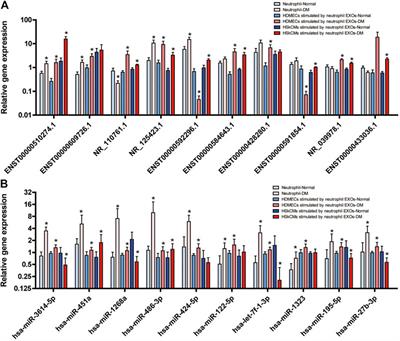 The Functional Roles of RNAs Cargoes Released by Neutrophil-Derived Exosomes in Dermatomyositis